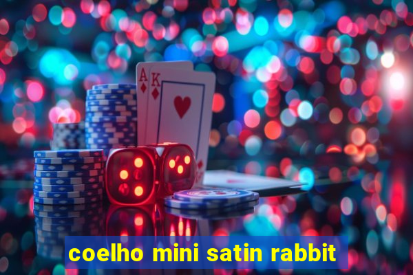 coelho mini satin rabbit